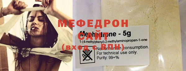 мдпв Гусев