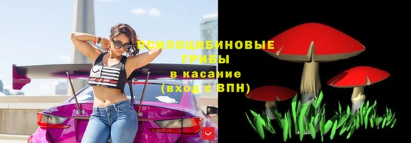 таблы Зеленокумск