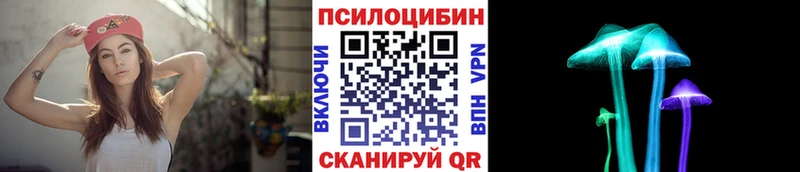 купить наркотики цена shop формула Галлюциногенные грибы Magic Shrooms Тбилисская