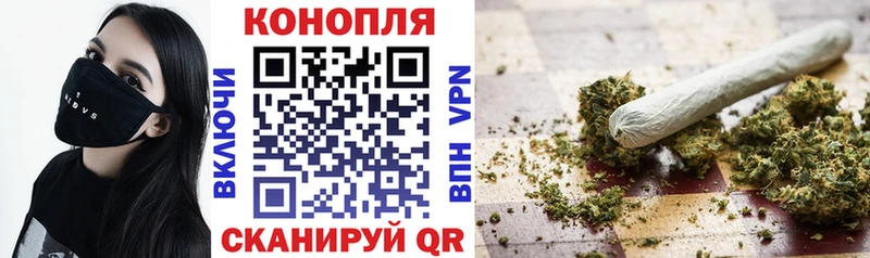 Каннабис сатива  купить наркотики цена  Тбилисская 